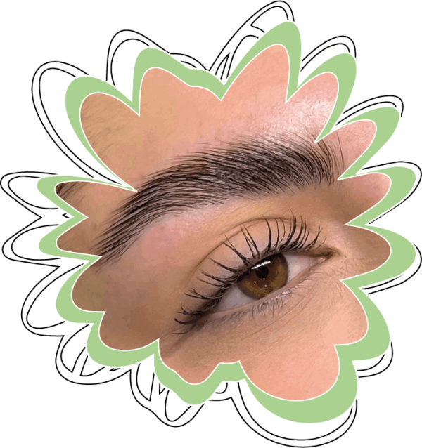 cejas, laminado
